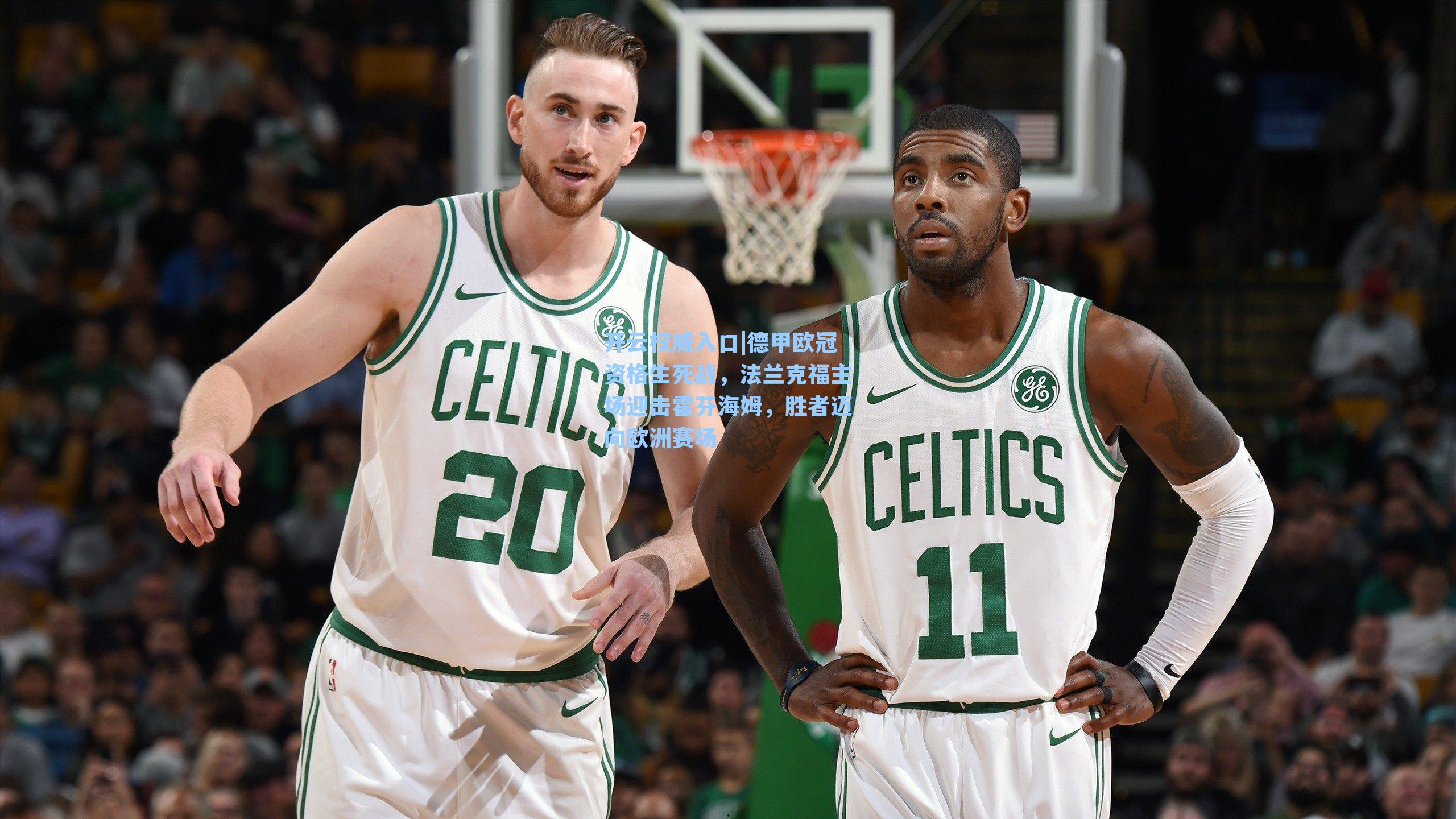 德甲欧冠资格生死战，法兰克福主场迎击霍芬海姆，胜者迈向欧洲赛场